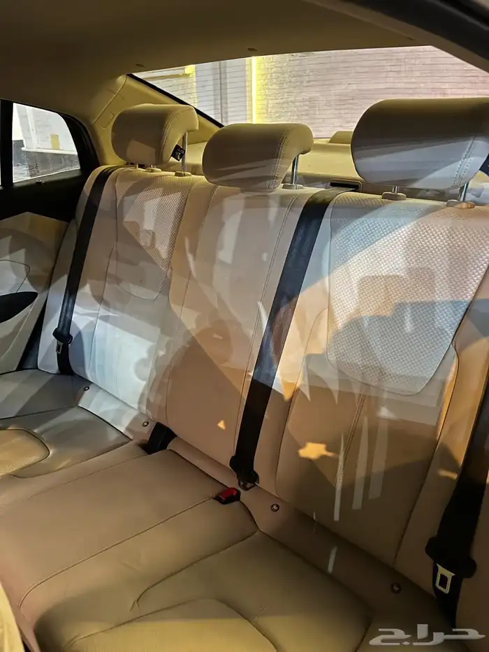 شيري اريزو 5 2023 10