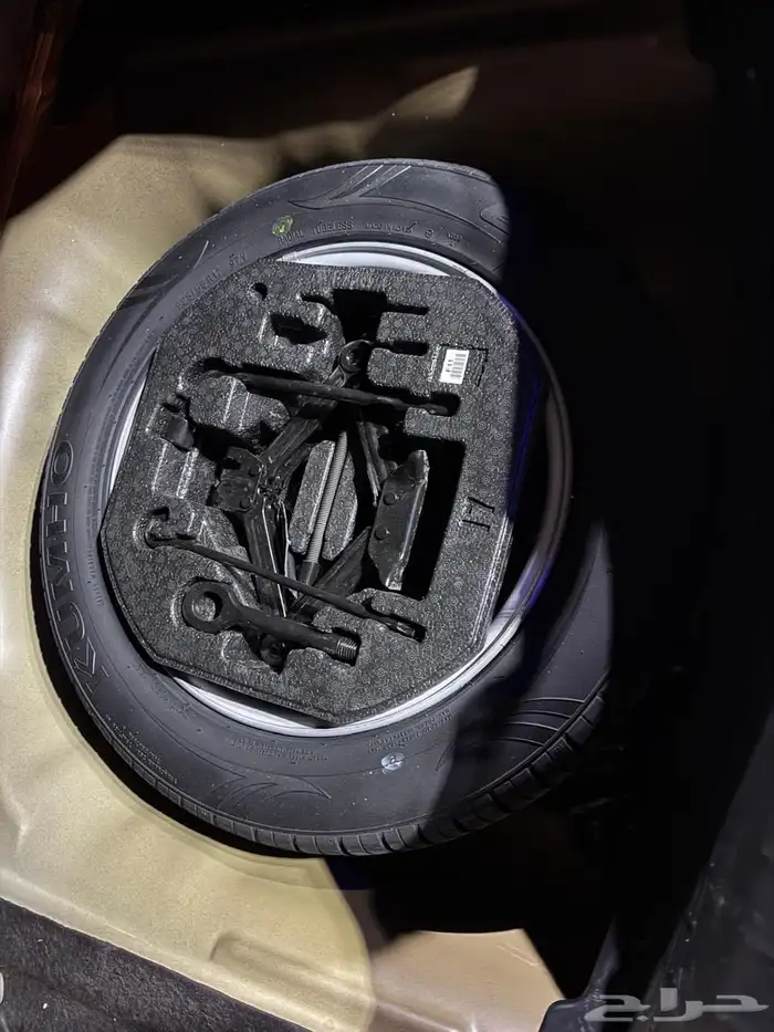 كادينزا 2019 7