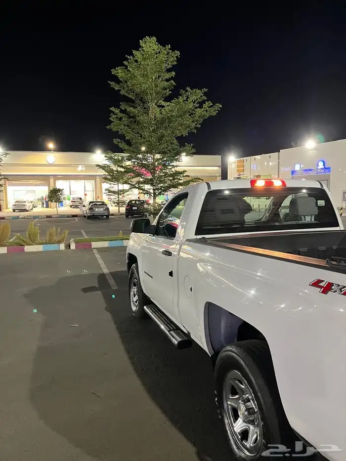 سيل رادو 2018 12