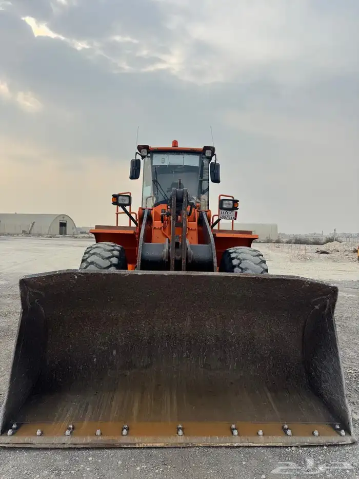 شيول للبيع 5