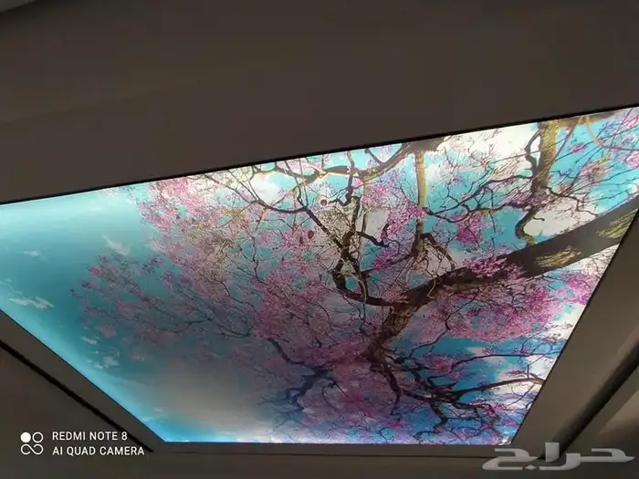 اسقف بتصاميم خيال 6