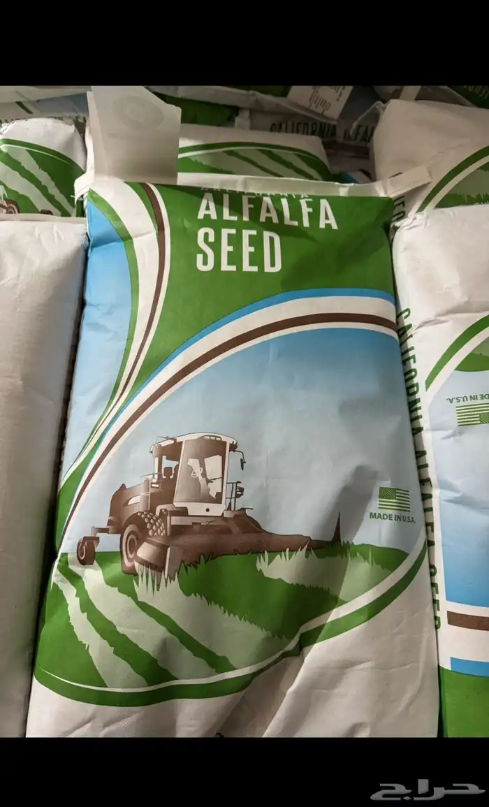 برسيم امريكي للبيع 1