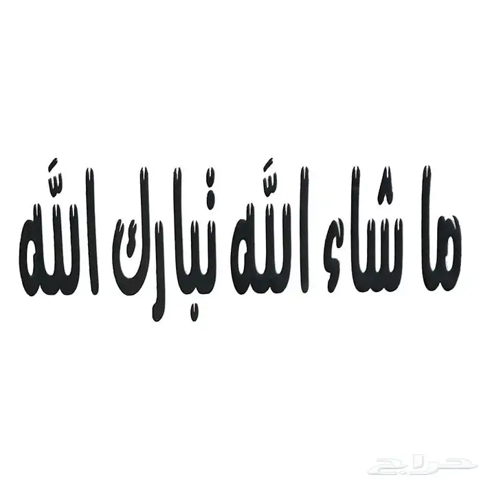 لكزس VIP - LX600 بلاك اديشن موديل 2023 بريمي 31