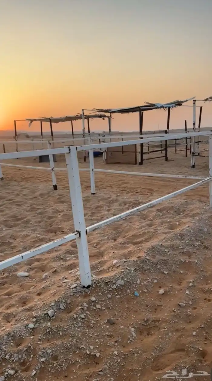 بادوك خيل غرف حديد تيوب 2