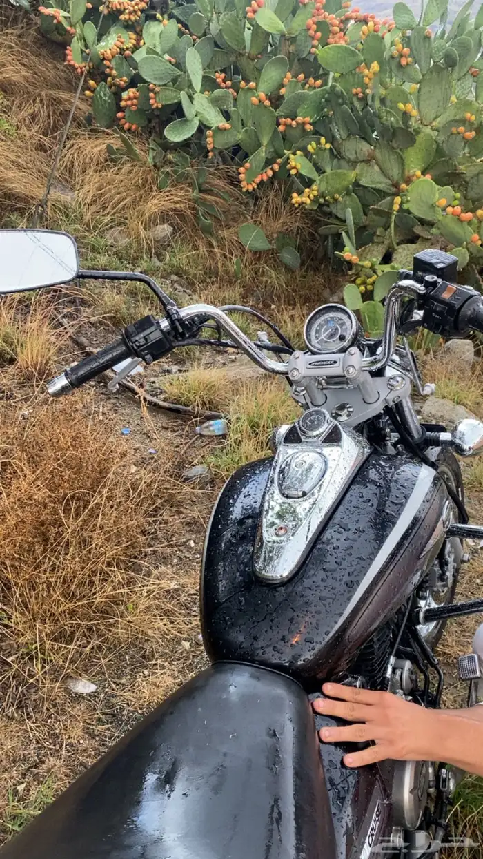 بجاج كروز افنجرز 12