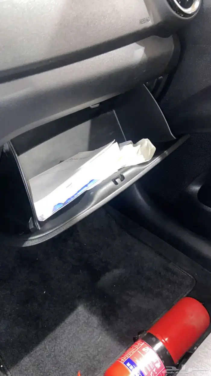 بيجاس نظيفه 9