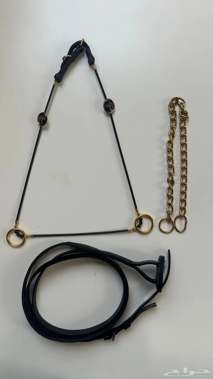 رشمات عرض جمال للخيل 0