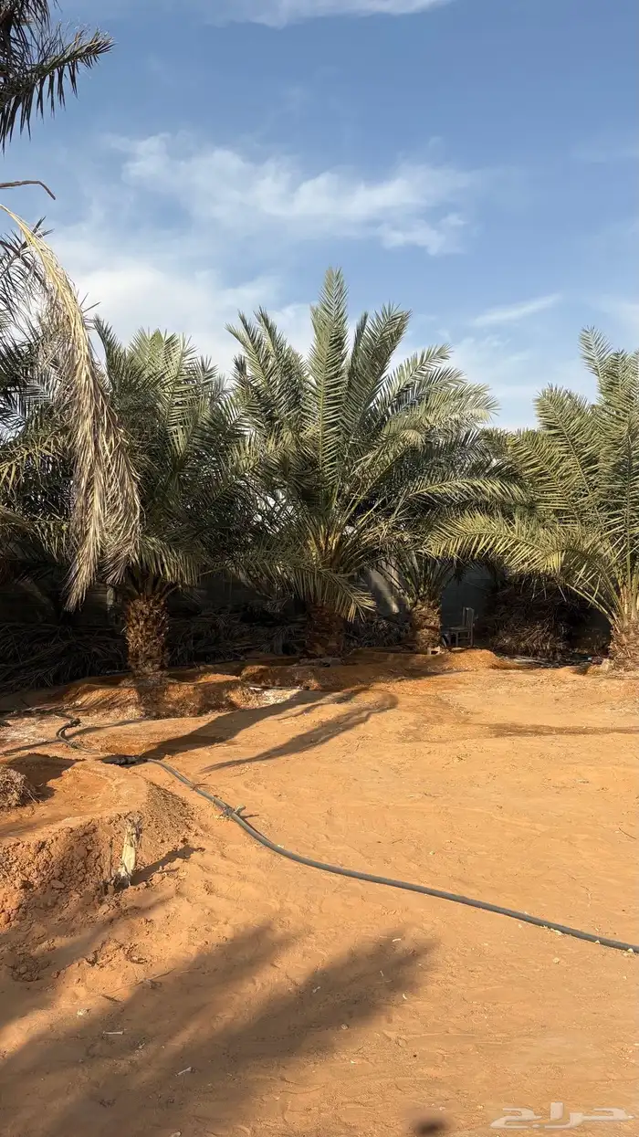 استراحه للبيع 24