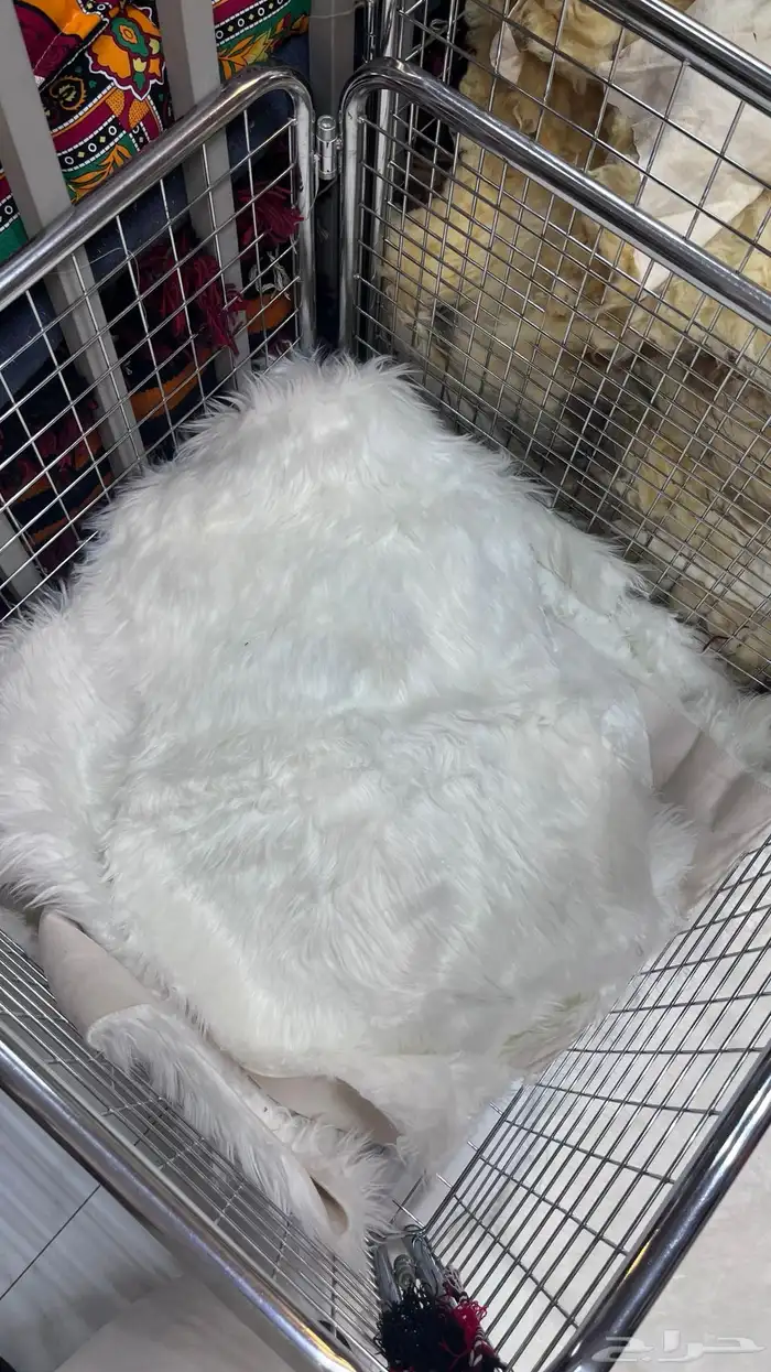 جاعد وفرو طبيعي وصناعي 7