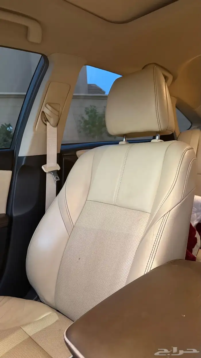 افالون 2013 ليمتد 21