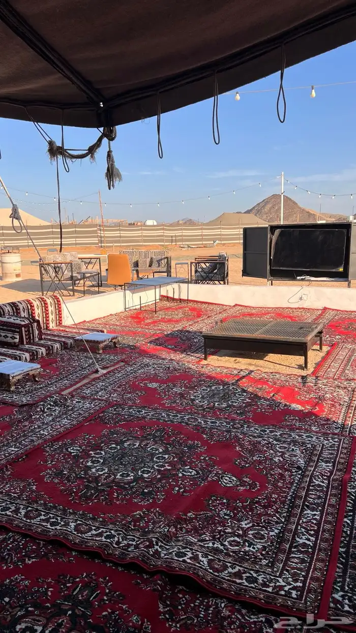 مخيم لورا 10