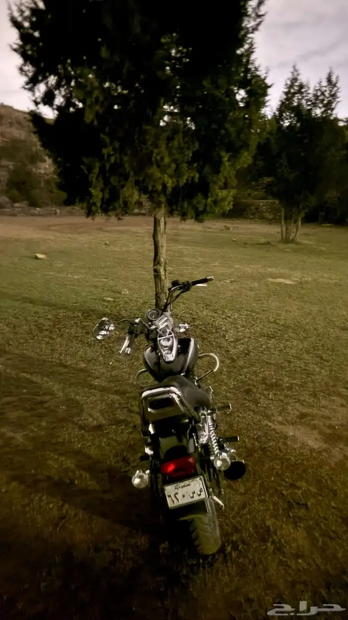 بجاج كروز افنجرز 10