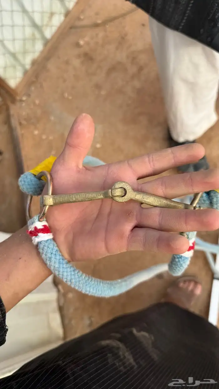 مستلزمات خيول 6