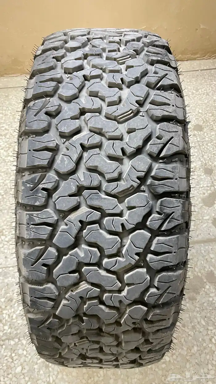 جنوط برايد و كفرات ود وي أخت الجديدة 8