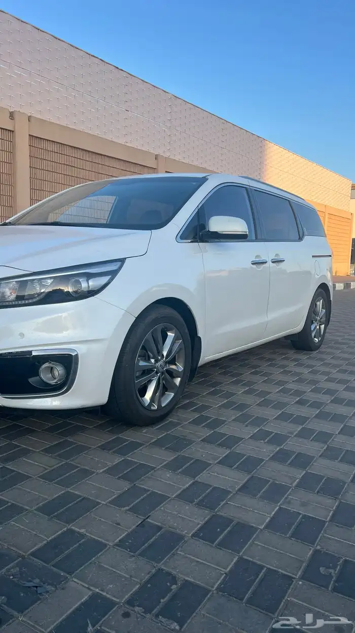 كرنفال 2018 للبيع 0