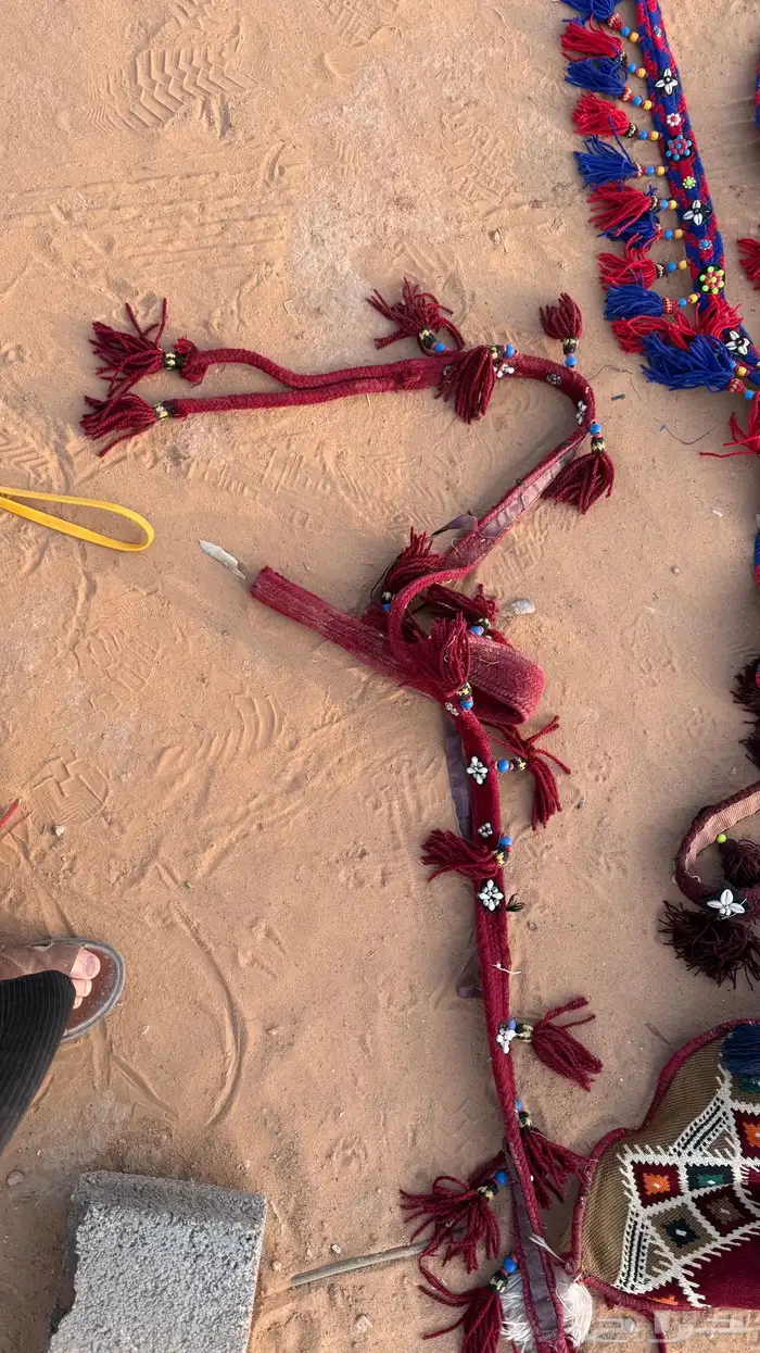 مستلزمات خيول 3