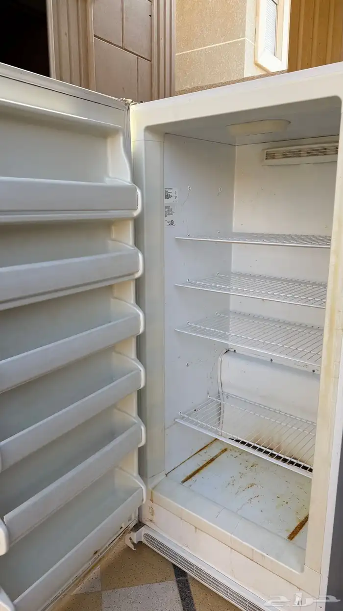 فريزر جيبسون امريكي واقف عامودي 21قدم 1