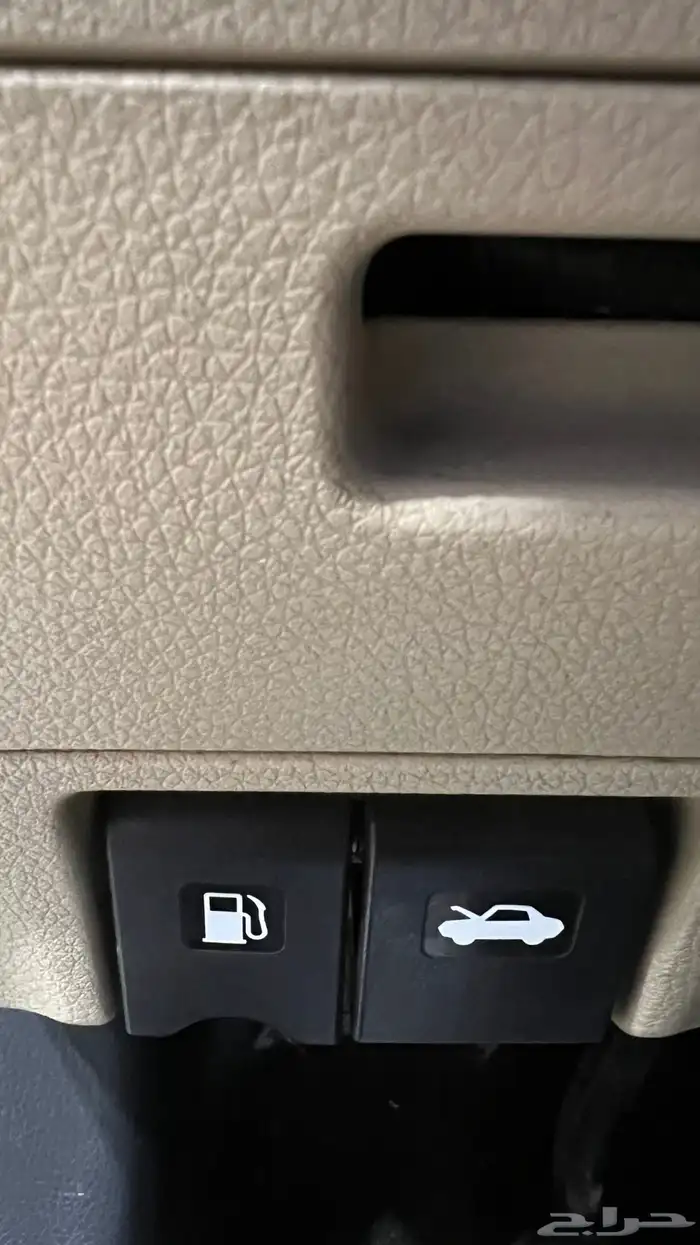 التيما نظيف 2017 20