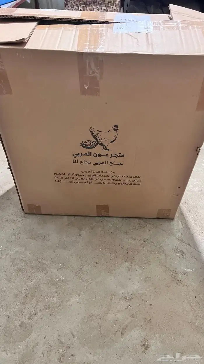 فقاسة 98 بيضة 1