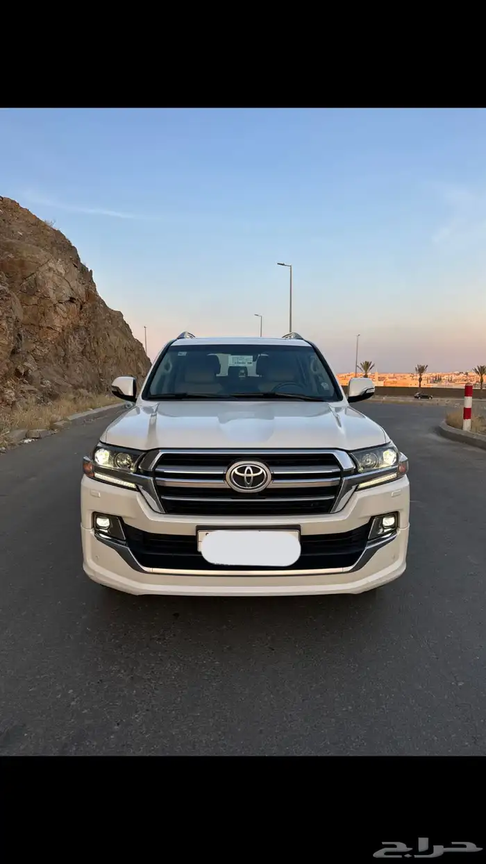 للبيع تورنق 2019 10