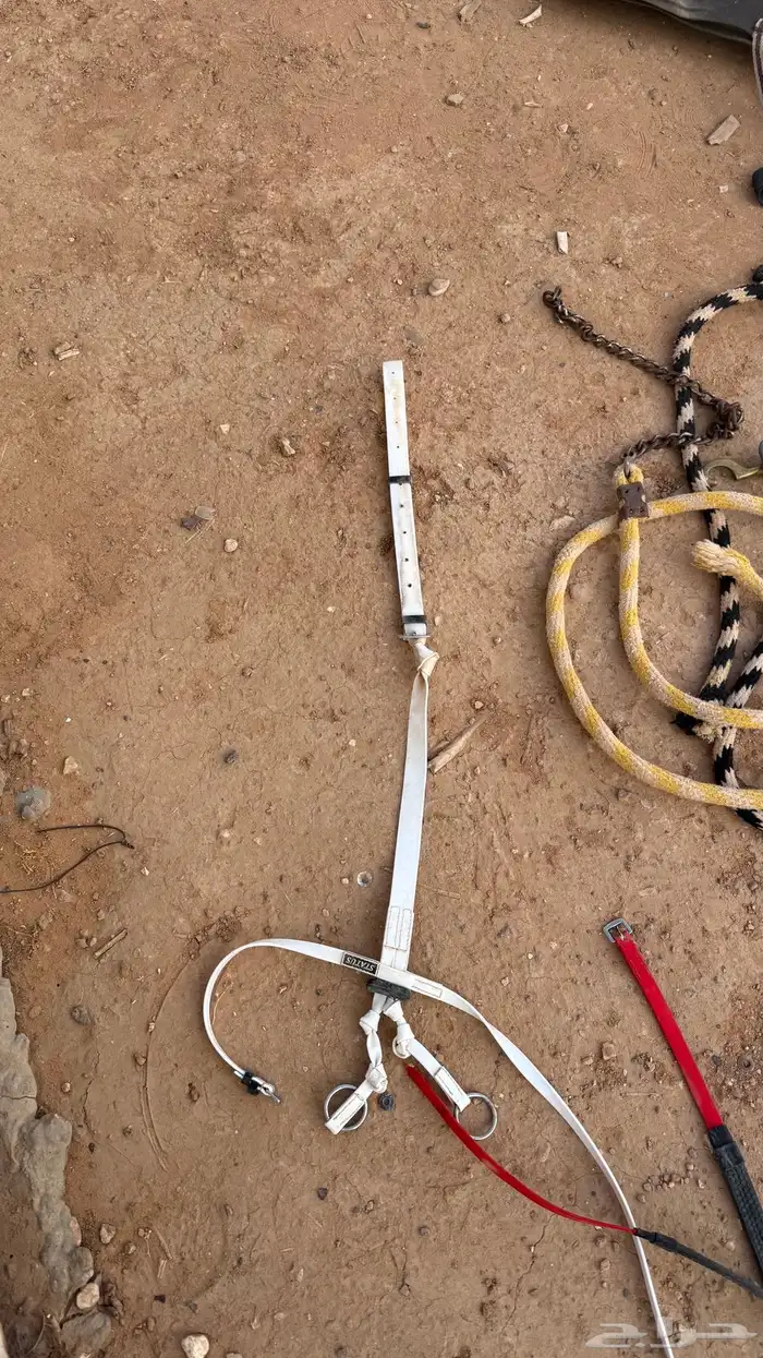 مستلزمات خيول 10