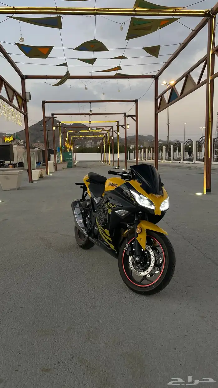 ريس باور سبورت 2025 0