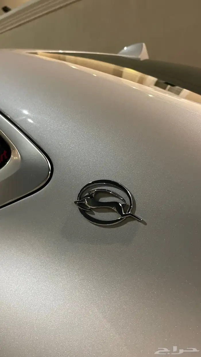 امبالا 2018 ممشى قليل 21