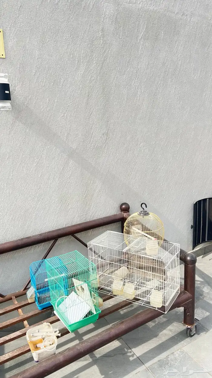 اشبوك طيور 3