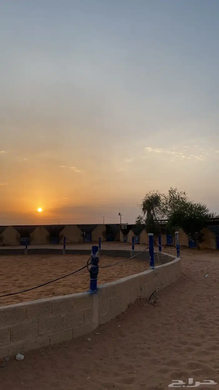 عسف الخيل و ايواء و تدريب على ركوب الخيل 0