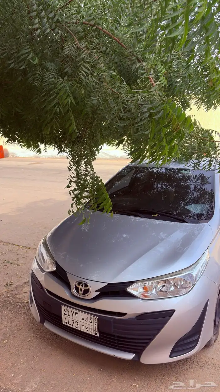 يارس 2019 للبيع 5