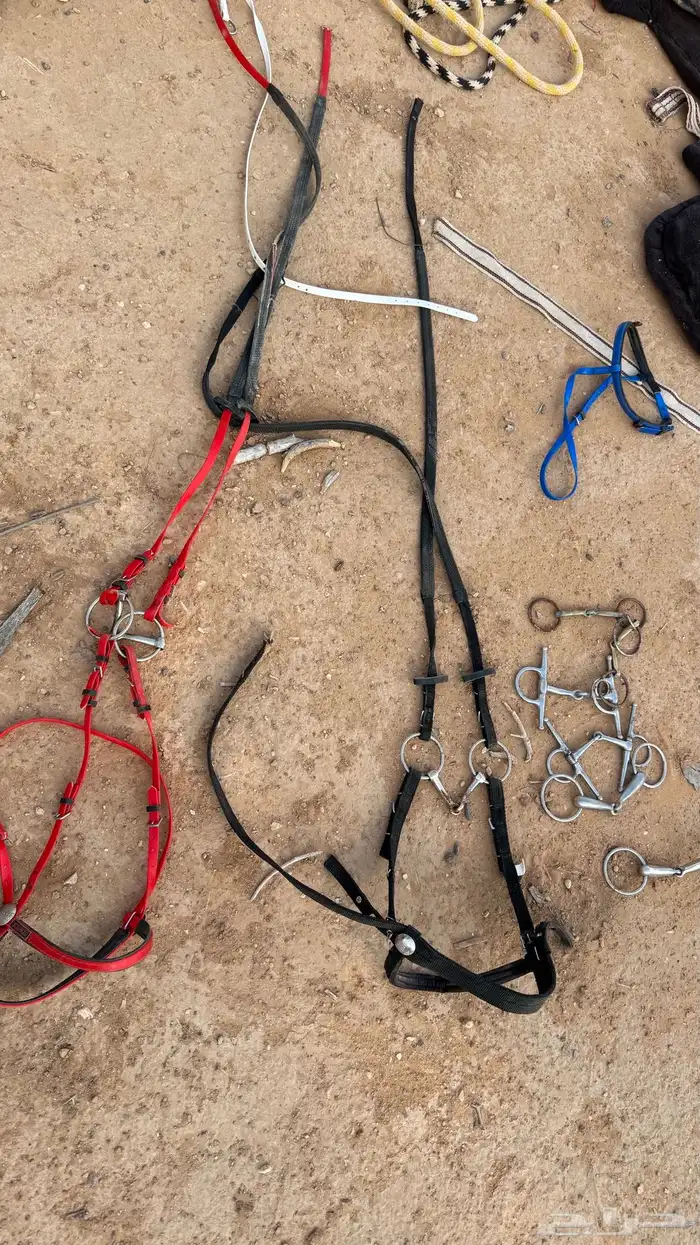 مستلزمات خيول 12