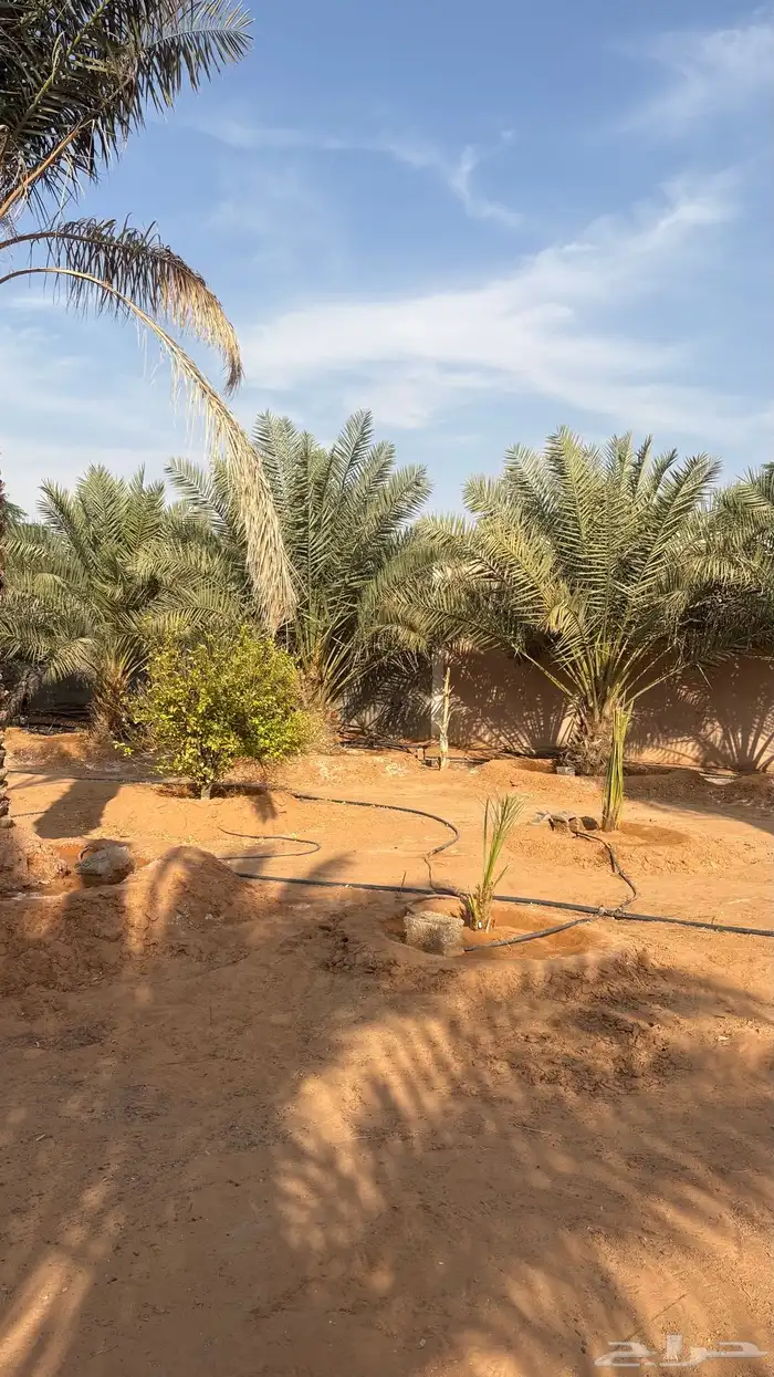 استراحه للبيع 19