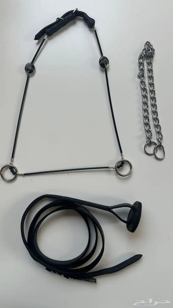 رشمات عرض جمال للخيل 1