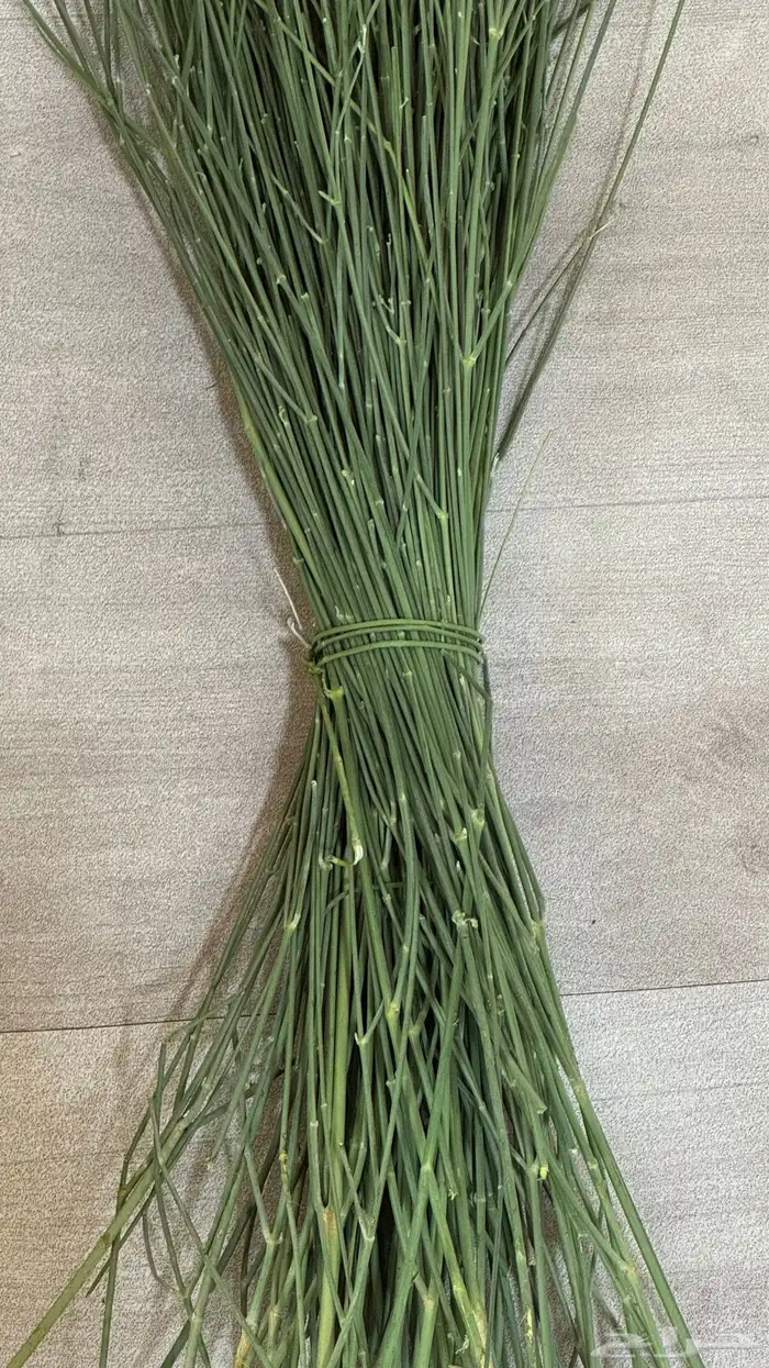 مرخ طازج و نظيف 0