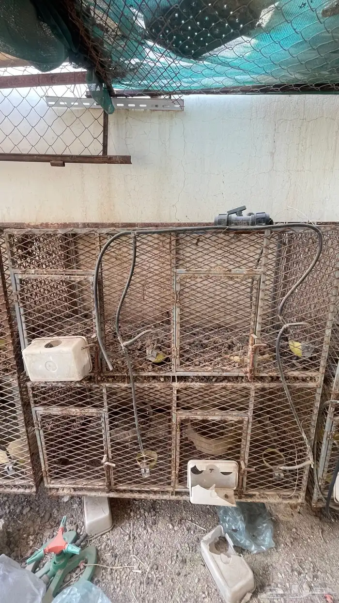 شبوك محاكر حمام 1