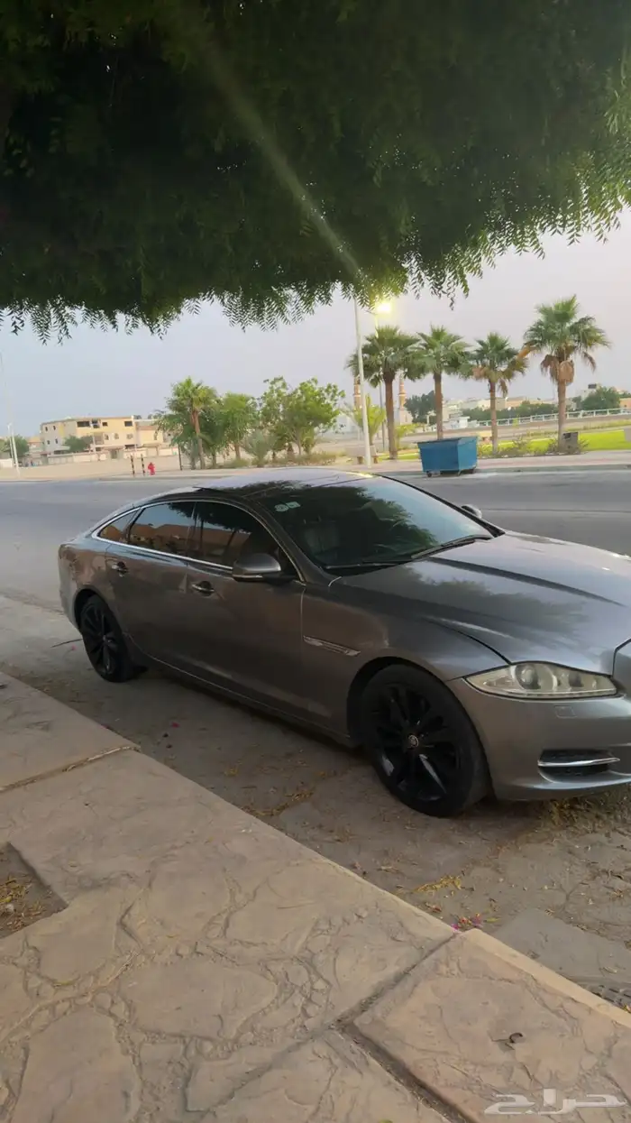 جاكوار للبيع 1