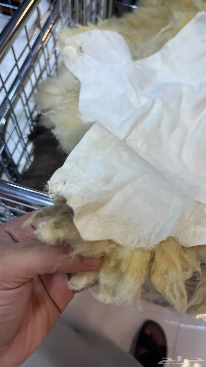 جاعد وفرو طبيعي وصناعي 1