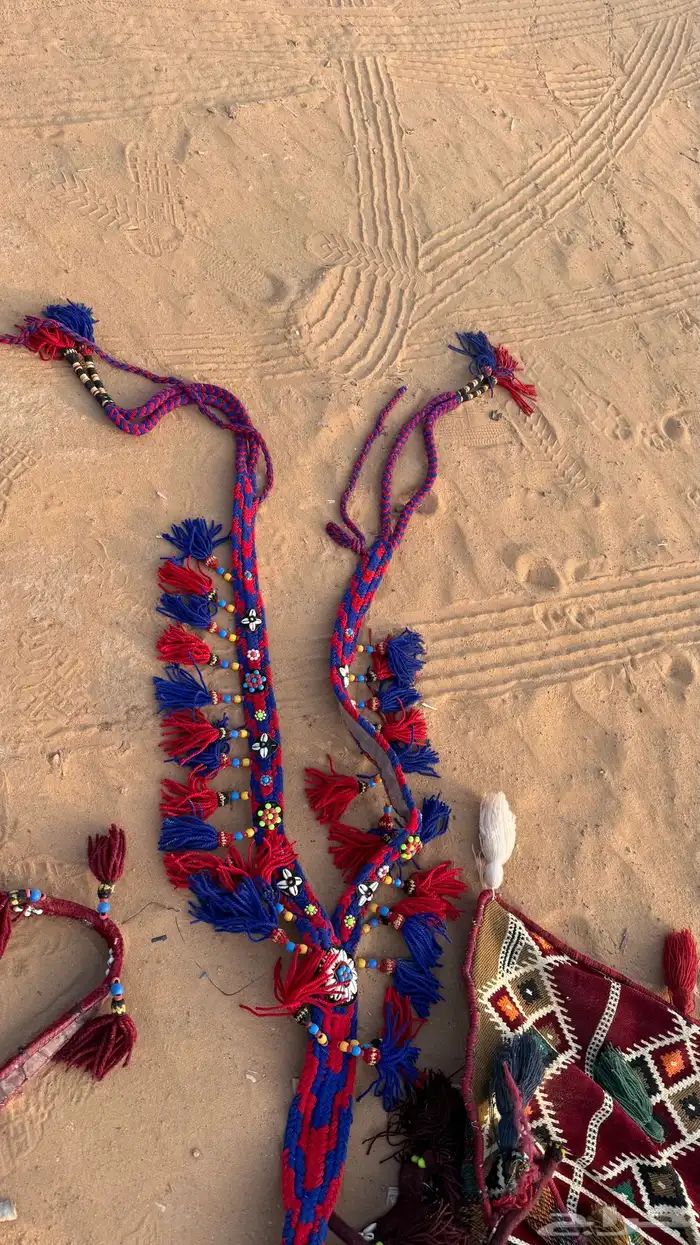 مستلزمات خيول 5