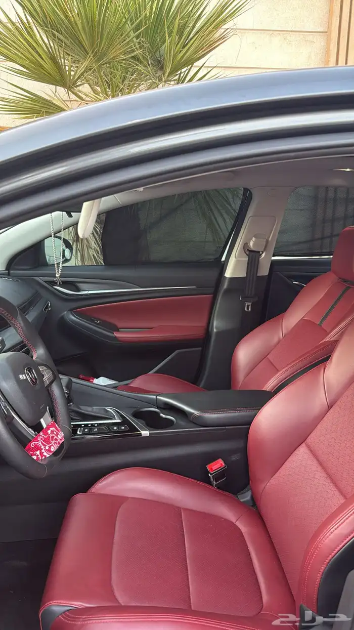 إيدو بلس ليميتد 2023 4