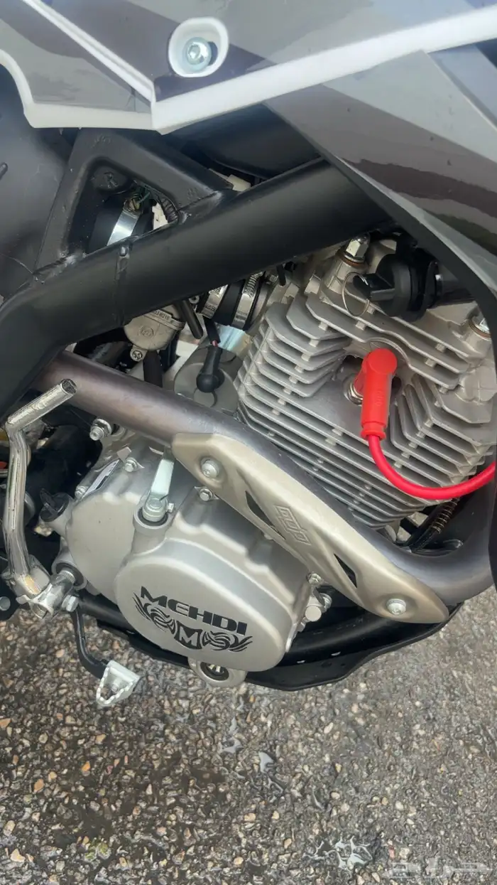 صحراوي 250 مهدي 1