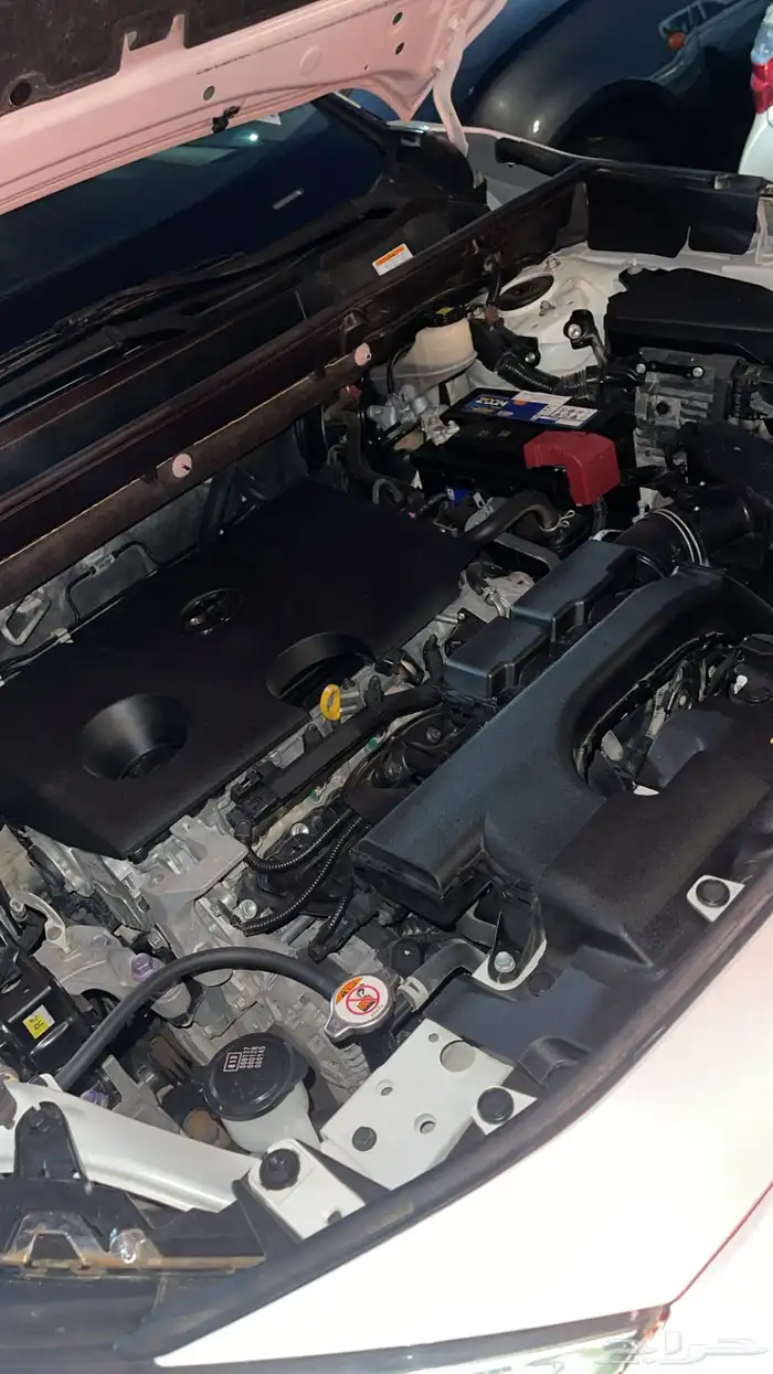 راف فور موديل 2020 8