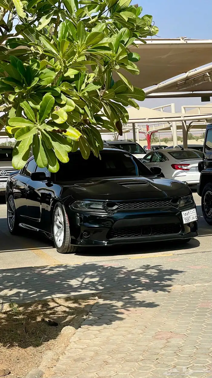 تشارجر رود أند تراك 2016   سعودي (وارد المتحدة 11