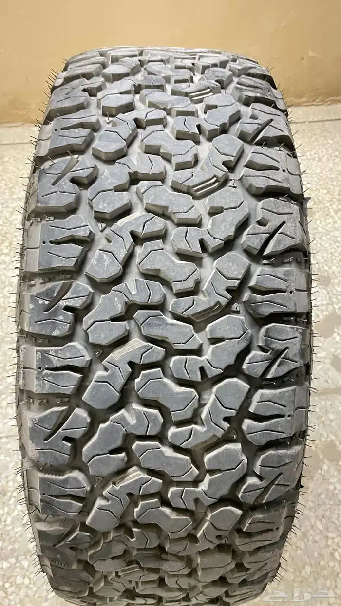 جنوط برايد و كفرات ود وي أخت الجديدة 7