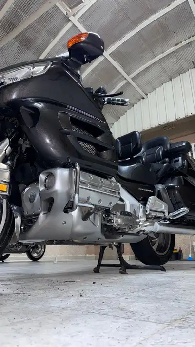 قولد وينق 2010 index