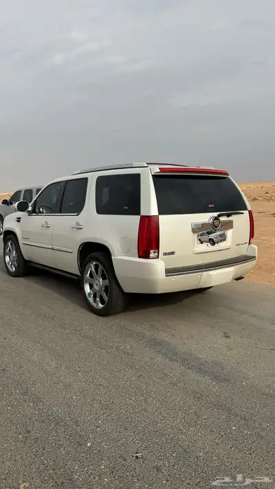 للبيع اسكاليد 2013 index