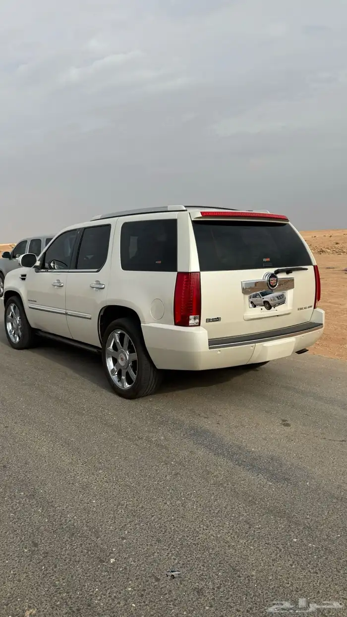 للبيع اسكاليد 2013 2