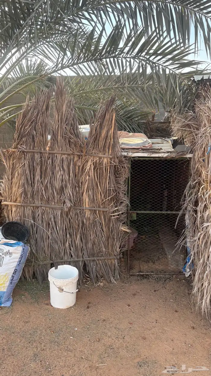 استراحه للبيع 27