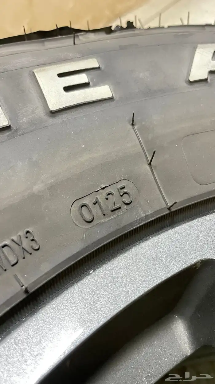 جنوط برايد و كفرات ود وي أخت الجديدة 6