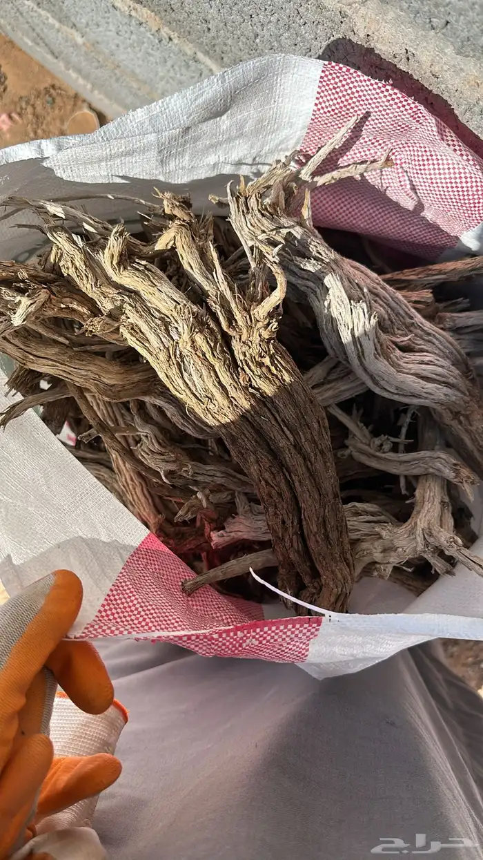 حطب خياش مستورد إفريقي 1