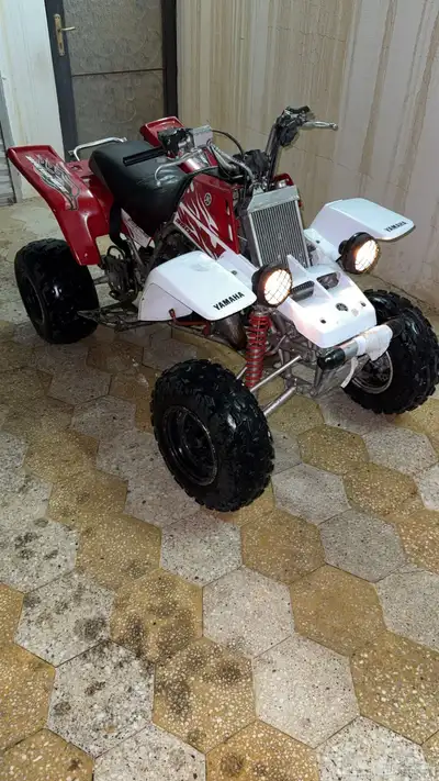 بانشي 2009 index